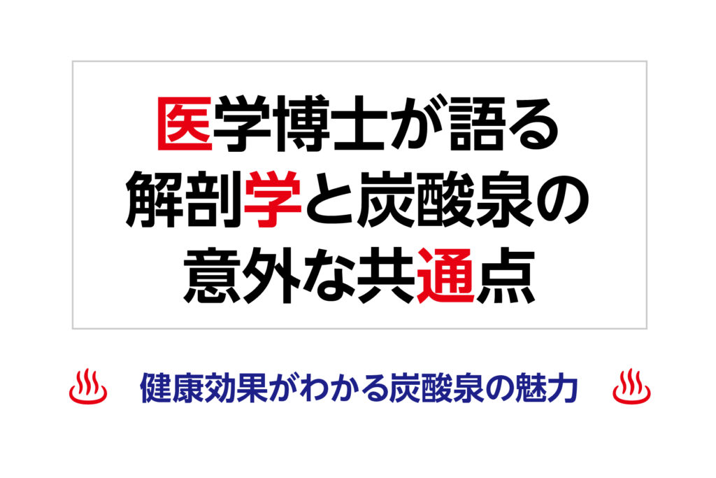 医学博士が語る解剖学と炭酸泉の意外な共通点〜健康効果がわかる炭酸泉の魅力〜